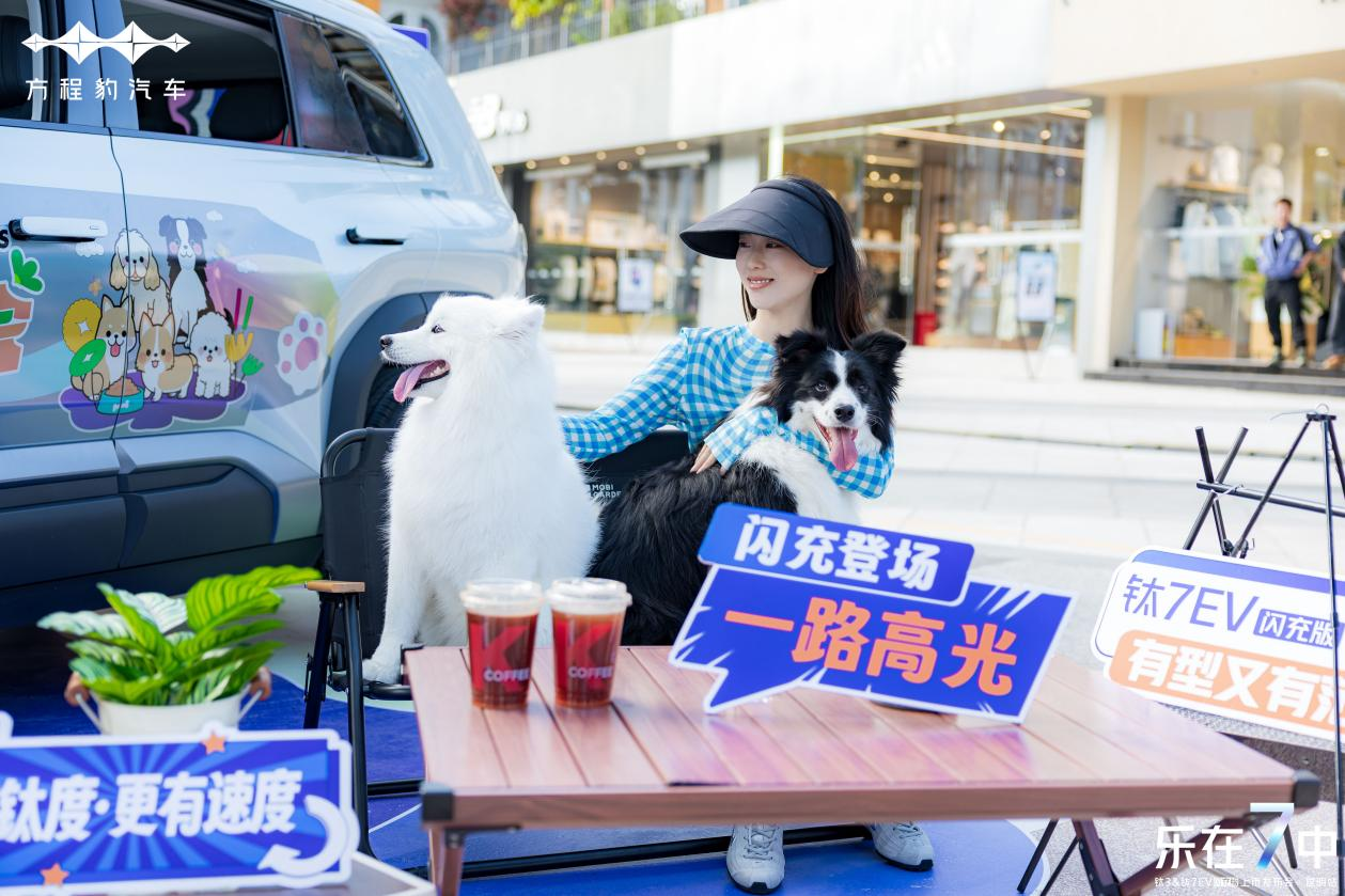 图片2 图片2