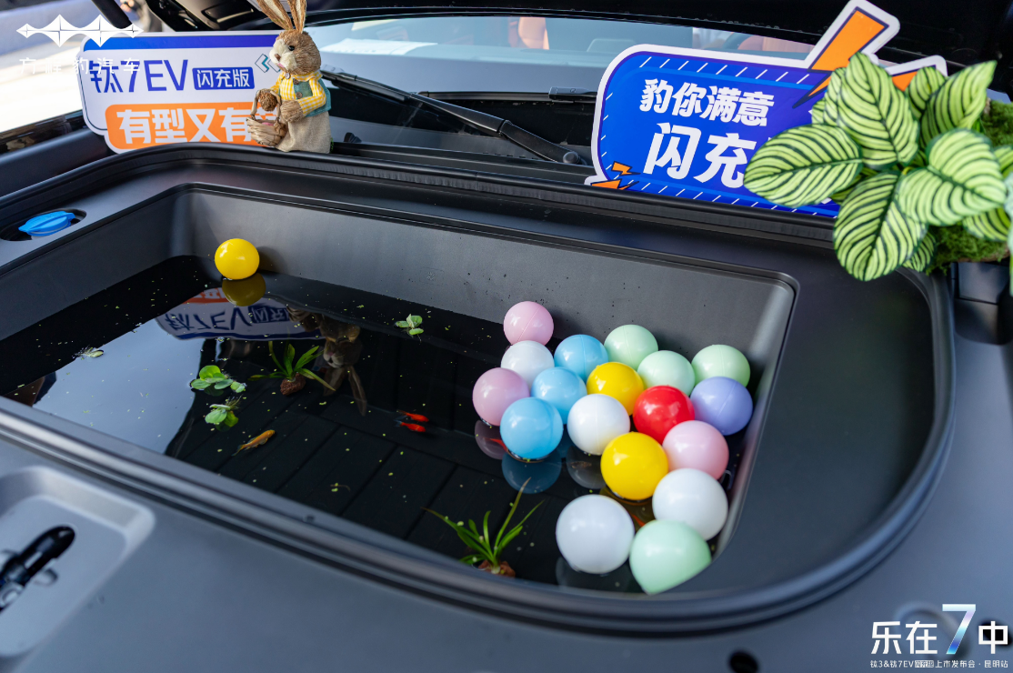 图片8 图片8